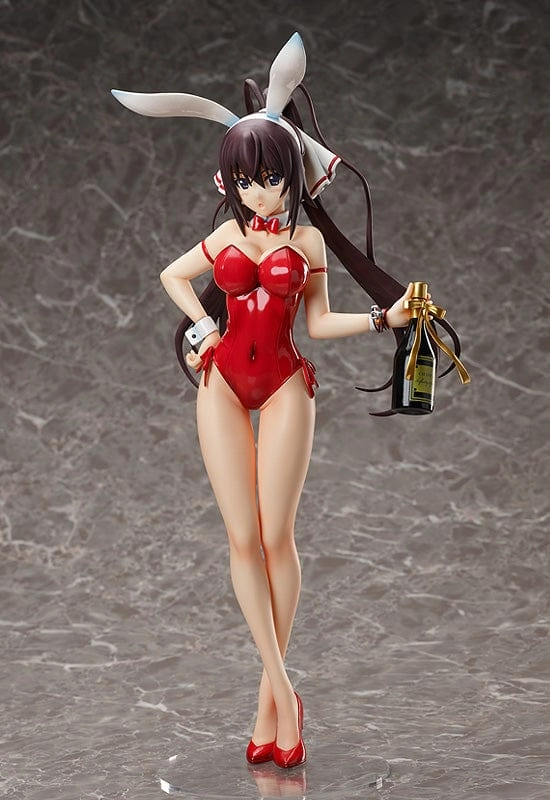 Message Option 1/4th Houki Shinonono Bare Leg Bunny Ver