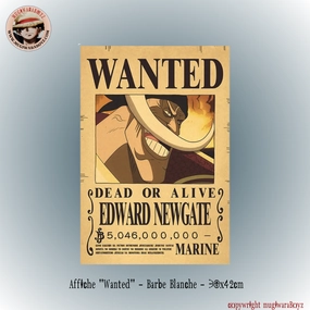 Magic Spell Weather Station Affiche "Wanted" - Barbe Blanche