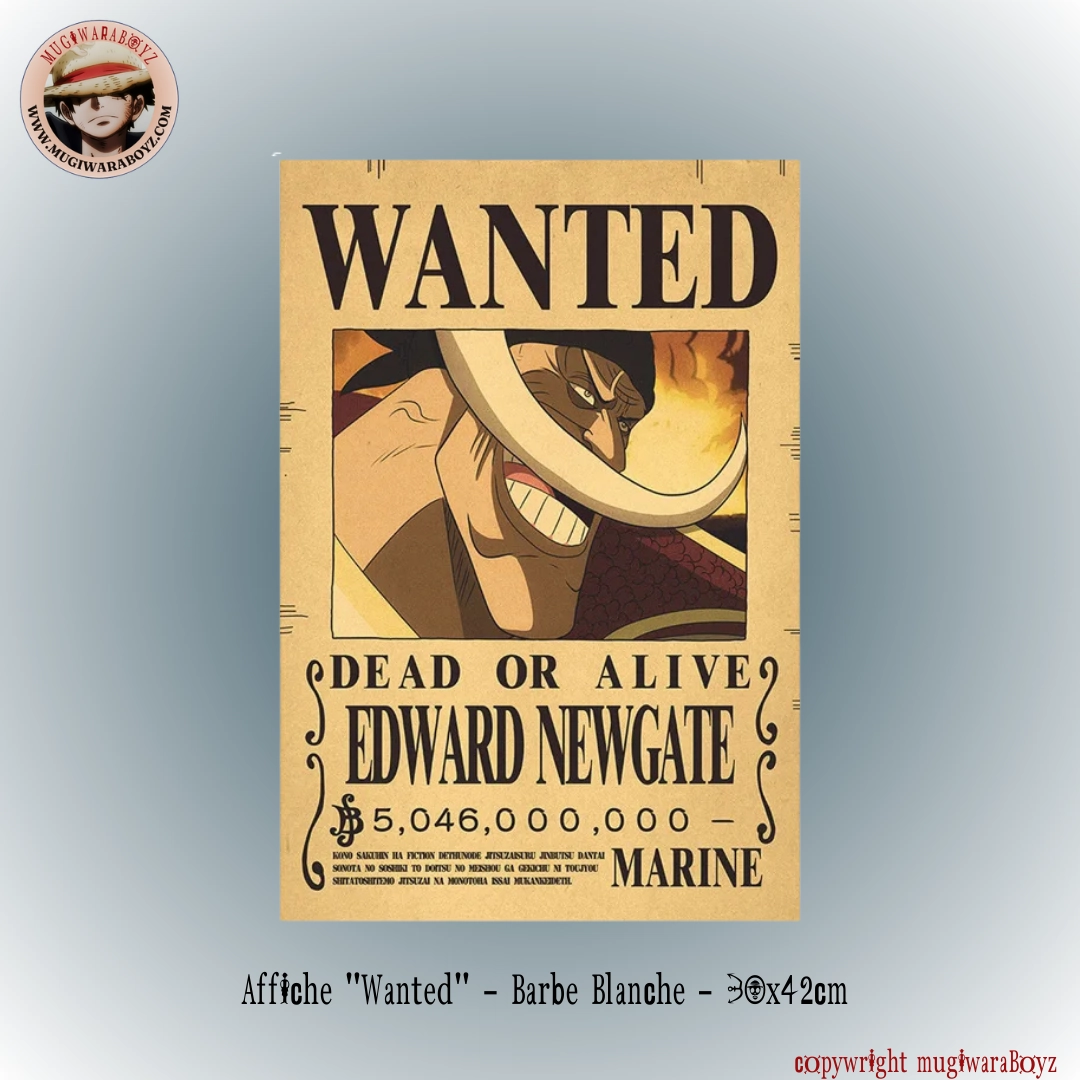 Magic Spell Weather Station Affiche "Wanted" - Barbe Blanche