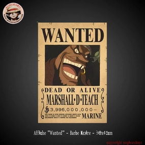 Data Collection Affiche "Wanted" - Barbe Noire