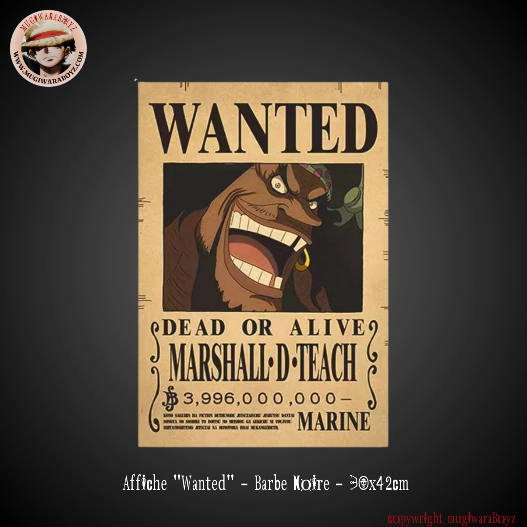 Data Collection Affiche "Wanted" - Barbe Noire