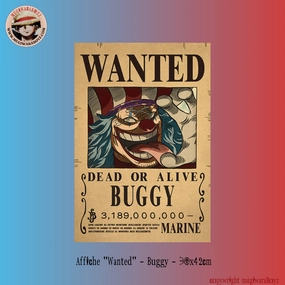Affiche "Wanted" - Buggy Regulation Comply