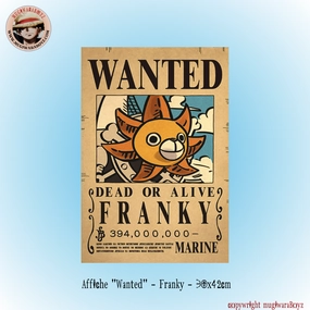 Affiche "Wanted" - Franky Sustainability Practice