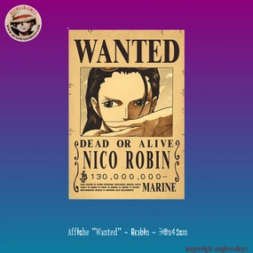 Race Finish Aid Give Affiche "Wanted" - Robin