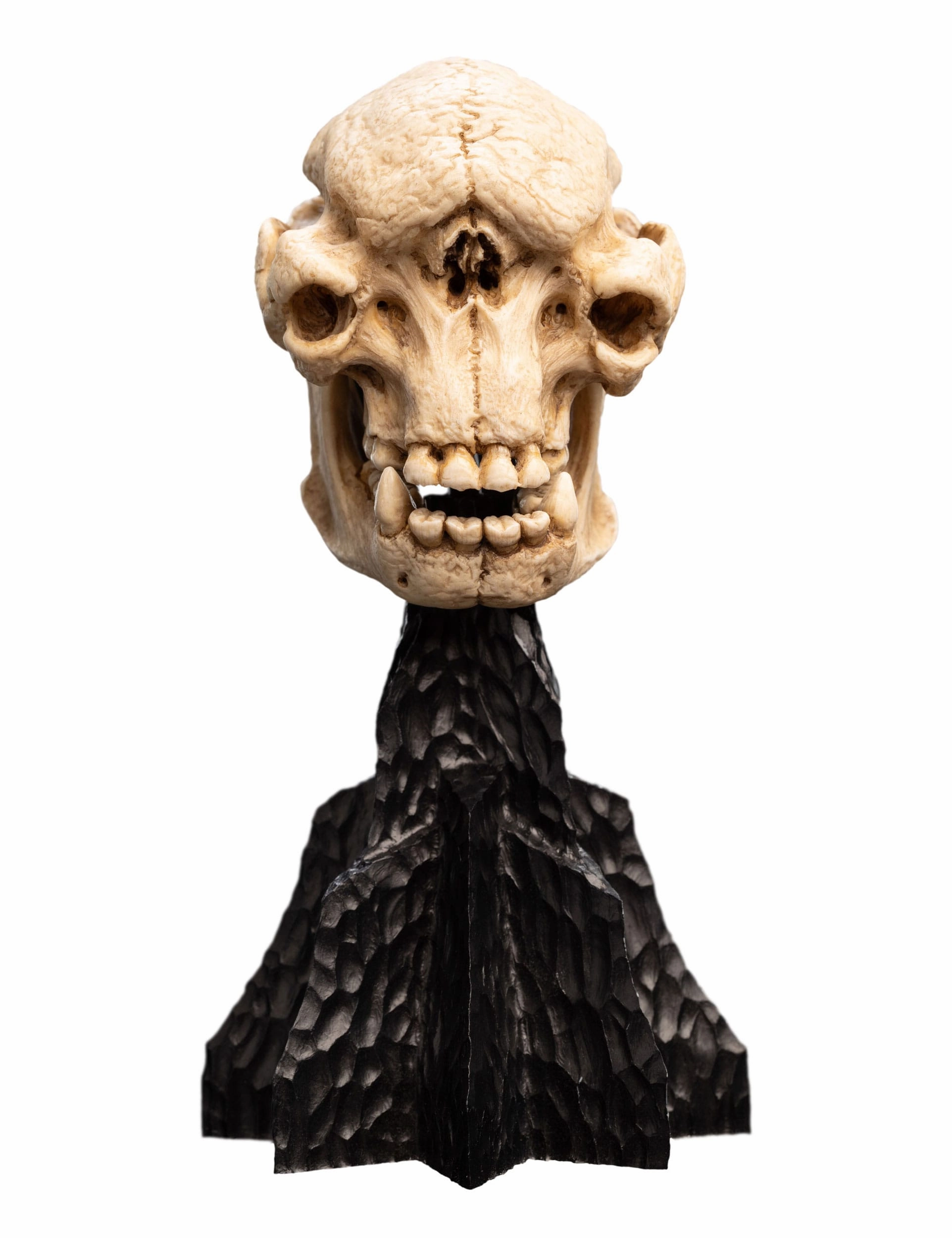 Weta Lord of the Rings Skull of a Cave Troll Mini Statue Deep Sea Diver