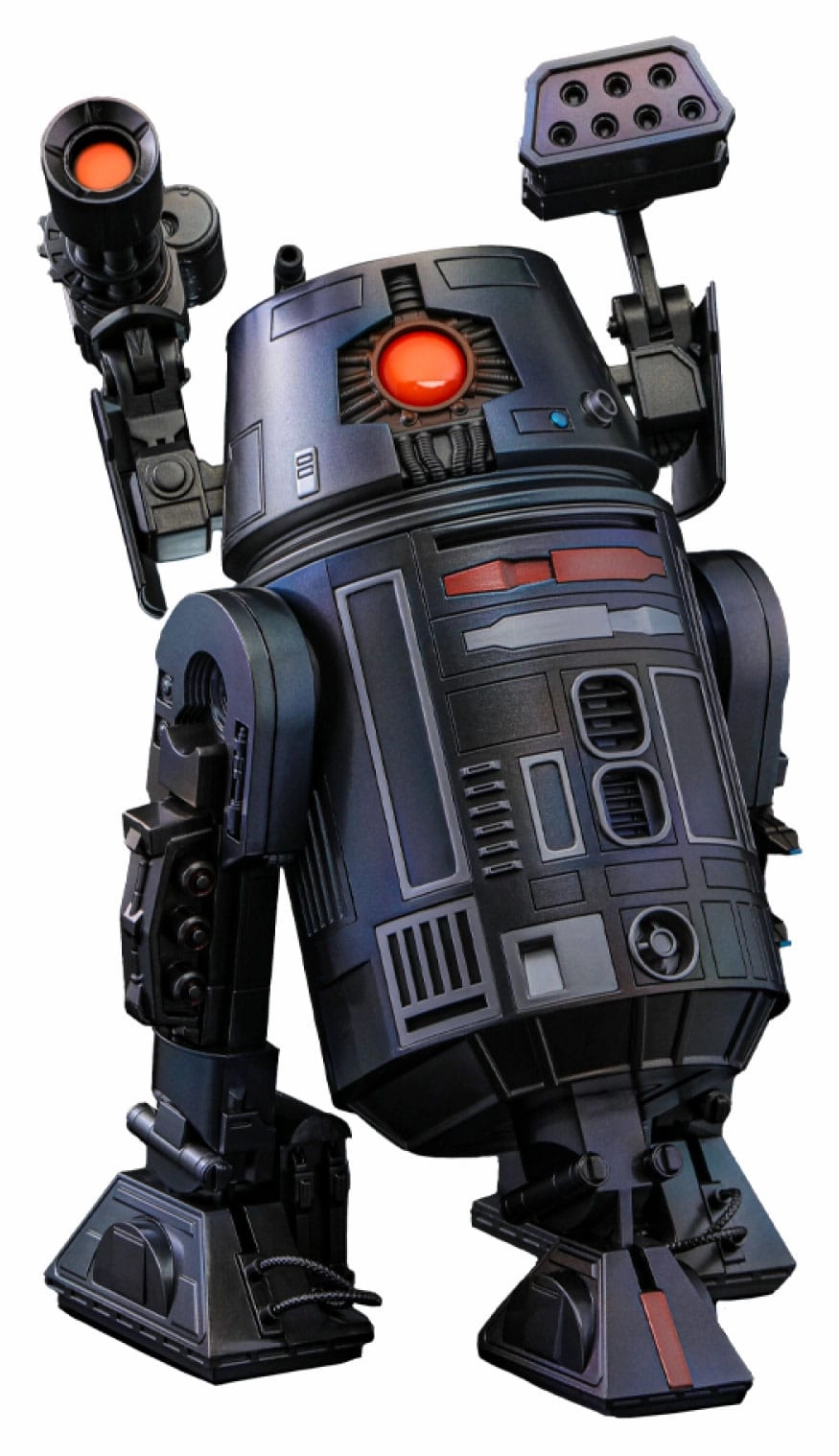 Dog Sculpture Collection Showcase Hot Toys BT-1 - Star Wars Comics - CMS017 - 1/6 Scale Collectible Figure