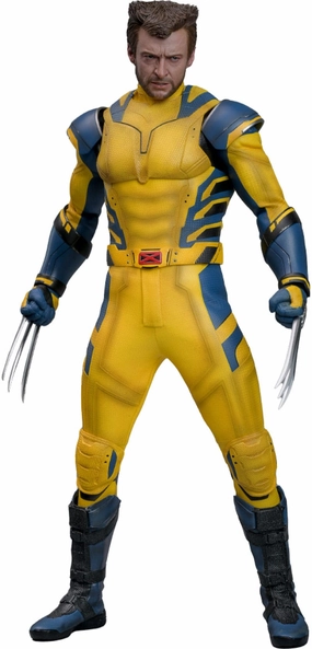 Interchangeable Part Hot Toys Wolverine (Deluxe Version) - Deadpool & Wolverine - MMS754 - 1/6 Scale Collectible Figure