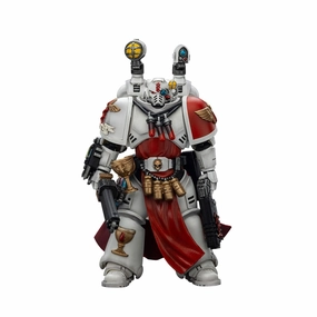 JOYTOY Warhammer 40,000 Combat Patrol Blood Angels anguinary Priest with Heavy Bolt Pistol Chainsword and Narthecium Action Figure Miniature Merchandise