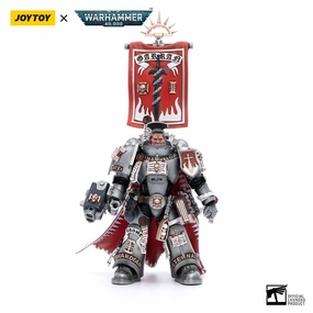 JOYTOY Warhammer 40K Grey Knights Castellan Crowe 1/18 Action Figure Timeless Treasure Swapable Head