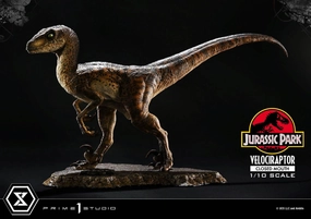 Prime 1 Studio Jurassic Park Velociraptor Closed Mouth Prime Collectibles 1/10 Statue Display Piece