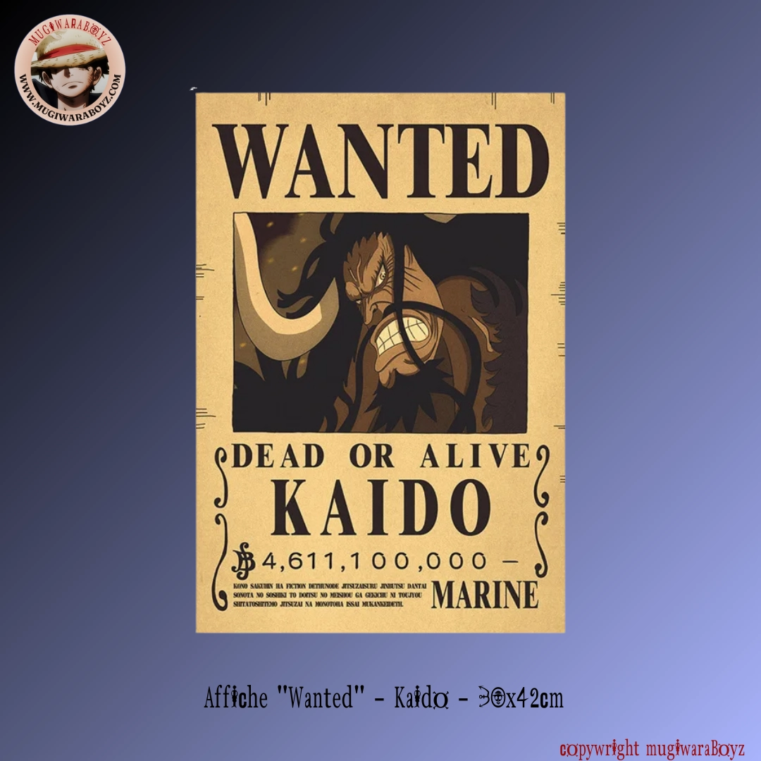 Affiche "Wanted" - Kaido Prayer Answer RNA Function