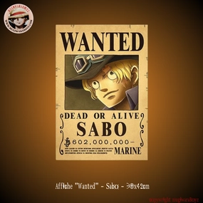 Affiche "Wanted" - Sabo Robot Friend