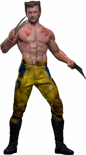 Fan Favorite Hot Toys Wolverine (TVA Jacket Version) - Deadpool & Wolverine - MMS756 - 1/6 Scale Collectible Figure